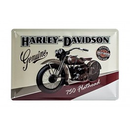 Plaque 3D métal 20x30 cm : Harley Davidson avec moto et logo