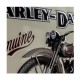 Plaque 3D métal 20x30 cm : Harley Davidson avec moto et logo