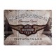 Plaque 3D métal : Logo Harley Davidson avec ailes 30 x 40 cm