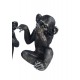 Set 3 Singes de la sagesse, Collection Jungle, H 14 cm