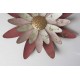 Décoration murale florale : Marguerite, Corail & Rose, H 538 cm