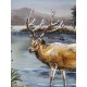 Tableau sur Métal 3D : Rivière aux cerfs, L 100 cm