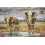 Tableau en Métal 3D : Trois Eléphants, Savane et Plan d'eau, L 120 cm
