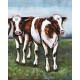 Tableau sur Métal 3D : Vaches au près, L 120 cm
