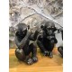 Set 3 Singes de la sagesse, Collection Jungle, H 14 cm