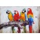 Tableau Nature : Perroquets multicolores en tête-à-queue L 120 cm
