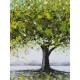 Tableau Design Arbre : Life & Green Tree, L 120 cm