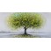 Tableau Design Arbre : Life & Green Tree, L 120 cm