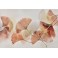 Tableau Fleurs roses : Feuilles de Ginkgo Biloba, L 120 cm