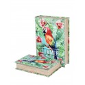 Set 2 Boites Livres : Modèle Perroquet multicolore, H 30 (Grand)