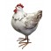 Animal Déco : La Poule Charmante, Taille XL, H 24 cm