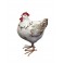 Animal Déco : La Poule Charmante, Taille L, H 19 cm