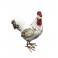 Animal Déco : Le Coq Charmant, Taille L, H 22 cm