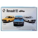 Plaque Métal Renault 3D : La R12 3 Modèles, L 40 x 30 cm