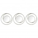 Set 3 Miroirs Ronds Design circulaire, Argent Mat, Diamètre 25 cm