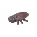 Thème Provence : Figurine Cigale en Fonte, Modèle Boite, L 14 cm