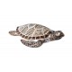 Décoration en Résine : Tortue à poser. L 27 cm