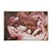 Tableau Moderne et Cadre : Pivoine en effeuillage, L 90 cm