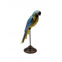 Statuette en Métal : Le Perroquet Jaune et Bleu, H 48 cm