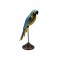 Oiseau en Métal : Le Perroquet Jaune et Bleu, H 48 cm