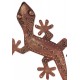 Déco Murale métal : Gecko en métal, Collection Ojala, H 43 cm