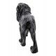 Sculpture Résine Design : Grand lion Noir Marbre, L 42 cm