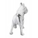 Statuette Chien XL : Le Bouledogue, Finition Argent, H 62 cm