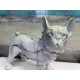 Statuette Chien XL : Le Bouledogue, Finition Argent, H 62 cm