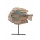 Décoration Poisson exotique sur socle vieilli, Bois MDF, L 32,5 cm