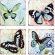 Dessous de plat Céramique : Modèle Papillon Vert, L 16 cm