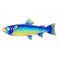 Grand Poisson Mural ! Perroquet Métal et Verre, Bleu, L 44 cm
