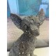 Statuette Chien XL : Le Chihuahua Argent & Strass, H 26 cm