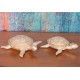 Décoration Mer Résine : Tortue Doré, Modèle Jungle Chic, L 21,5 cm