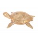 Décoration Mer Résine : Tortue Doré, Modèle Jungle Chic, L 21,5 cm