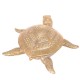 Décoration Mer Résine : Tortue Doré, Modèle Jungle Chic, L 18,5 cm