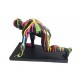 Statuette Abstraite PLENITUDE, L 66 cm