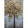 Tableau Métal 3D : Arbre au feuillage doré XL, H L 120 cm