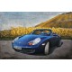 Tableau sur Bois & Métal 3D : La Porsche 911 Carrera, Bleu, L 120 cm