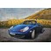 Tableau sur Bois & Métal 3D : La Porsche 911 Carrera, Bleu, L 120 cm