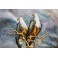 Tableau Métal 3D : Aigles royaux à têtes blanches, L 120 cm