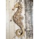 Grand Hippocampe Mural en Bois Flotté XL, L 55 cm