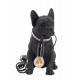 Lampe Bouledogue Français, Tendance contemporaine, Noir, Hauteur 29 cm