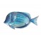 Déco Murale Métal et Verre : Poisson Tropical , L 26 cm