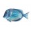 Déco Murale Métal : Le Poisson-chirurgien bleu, L 38 cm