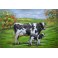 Tableau sur Bois & Métal 3D : Vaches au près, L 120 cm