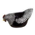 Poule picorant, Style Rétro ou Industriel, Résine, Noir et Blanc, L 21 cm