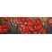 Tableau 100% Métal 3D : Coquelicots rouges, L 150 cm