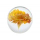 Presse Papier floral Verre : La Rose, Orange intense, Diam 10 cm