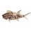 Déco Bord de mer XL : Grand Poisson en bois flotté et bois MDF, L 54 cm