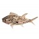 Déco Bord de mer : Grand Poisson en bois flotté et bois MDF, L 45 cm